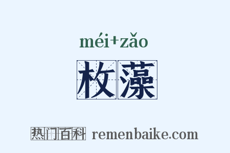 枚藻是什么意思的图片